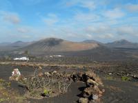 Wanderreise auf Lanzarote - Singlereisen - Wandern - Lanzarote - Spanien
