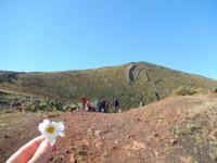 Wanderreise auf Lanzarote - Singlereisen - Wandern - Lanzarote - Spanien