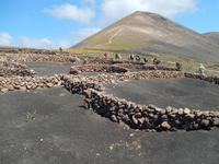 Wanderreise auf Lanzarote - Singlereisen - Wandern - Lanzarote - Spanien