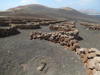 Wanderreise auf Lanzarote - Singlereisen - Wandern - Lanzarote - Spanien