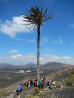 Wanderreise auf Lanzarote - Singlereisen - Wandern - Lanzarote - Spanien