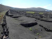 Wanderreise auf Lanzarote - Singlereisen - Wandern - Lanzarote - Spanien