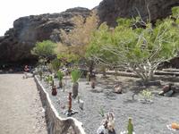 Wanderreise auf Lanzarote - Singlereisen - Wandern - Lanzarote - Spanien