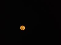 Wanderreise auf Lanzarote - Singlereisen - Wandern - Lanzarote - Spanien