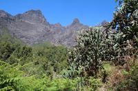 Baranco de las Angustias