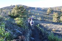 Wanderung im Süden von La Palma