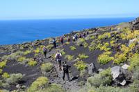 Abstieg zu den Salinen von Fuencaliente