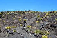 Abstieg zu den Salinen von Fuencaliente