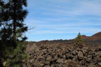 Wanderung am Chinyero