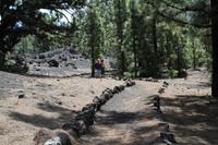 Wanderung am Chinyero