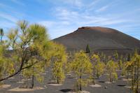 Wanderung am Chinyero