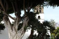 Icod de los Vinos, Teneriffa