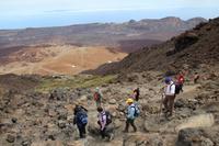 Abstieg vom Teide, Teneriffa