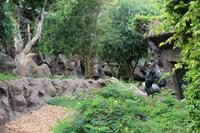 Freizeit im Loro Parque, Teneriffa