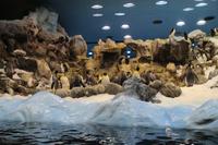 Freizeit im Loro Parque, Teneriffa