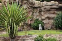 Freizeit im Loro Parque, Teneriffa