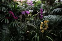 Freizeit im Loro Parque, Teneriffa