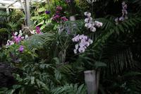 Freizeit im Loro Parque, Teneriffa