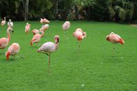 Freizeit im Loro Parque, Teneriffa