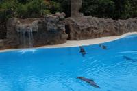 Freizeit im Loro Parque, Teneriffa