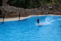 Freizeit im Loro Parque, Teneriffa