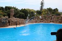 Freizeit im Loro Parque, Teneriffa