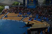 Freizeit im Loro Parque, Teneriffa