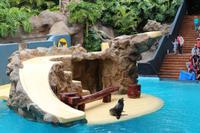 Freizeit im Loro Parque, Teneriffa