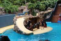 Freizeit im Loro Parque, Teneriffa