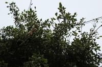 Freizeit im Loro Parque, Teneriffa