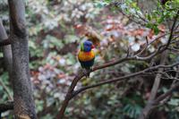 Freizeit im Loro Parque, Teneriffa
