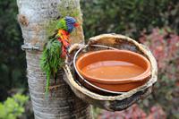 Freizeit im Loro Parque, Teneriffa