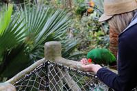 Freizeit im Loro Parque, Teneriffa