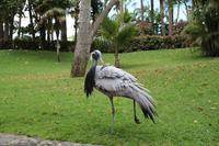 Freizeit im Loro Parque, Teneriffa