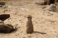 Freizeit im Loro Parque, Teneriffa