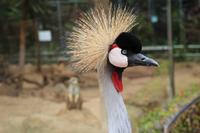 Freizeit im Loro Parque, Teneriffa