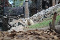 Freizeit im Loro Parque, Teneriffa