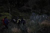 Wanderung durch die Masca-Schlucht