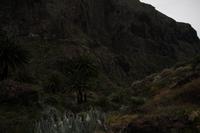 Wanderung durch die Masca-Schlucht