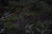 Wanderung durch die Masca-Schlucht