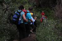 Wanderung durch die Masca-Schlucht