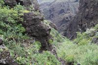Wanderung durch die Masca-Schlucht