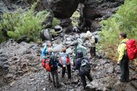 Wanderung durch die Masca-Schlucht