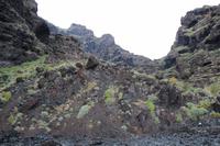 Blick zurück in die Masca-Schlucht