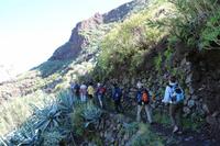 Wanderung im Anaga-Gebirge - Von Afur nach Taganana