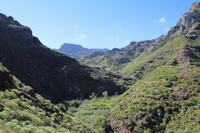 Wanderung im Anaga-Gebirge - Von Afur nach Taganana