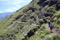 Wanderung im Anaga-Gebirge - Von Afur nach Taganana