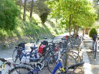 Via Verde de la Subbetica