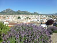 Blick von Burg auf Alcaudete