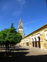 im Orangenhof von Mezquita